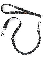 Algopix Similar Product 11 - Mighty Paw Hands Free Dog Leash 