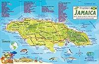 Algopix Similar Product 5 - Jamaica Dive Map  Coral Reef Creatures