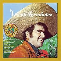 Algopix Similar Product 7 - Vicente Fernandez