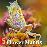 Algopix Similar Product 19 - Flower Mantis Calendar 2025 Looking