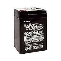 Algopix Similar Product 1 - WILDGAME INNOVATIONS 6V Edrenaline