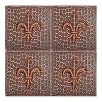 Algopix Similar Product 9 - Premier Copper Products T4DBF_PKG4
