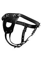 Algopix Similar Product 18 - Master Series Ass Holster Anal Plug