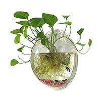 Algopix Similar Product 16 - Sweetsea Hanging Wall Mounted Fish Bowl