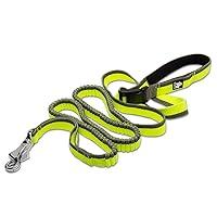 Algopix Similar Product 10 - SGODA Dog Leash Hands FreeBungee Leash
