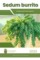 Algopix Similar Product 9 - Sedum burrito Succulent Handbook