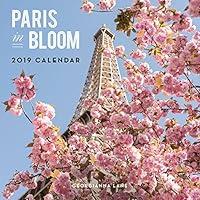 Algopix Similar Product 16 - Paris in Bloom 2019 Wall Calendar