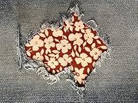 Algopix Similar Product 13 - IvoryDitsy Ivory Floral on Rust STRETCH