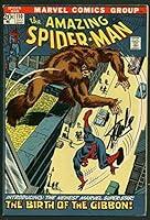Algopix Similar Product 12 - Stan Lee Signed Amazing SpiderMan 110