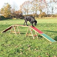 Algopix Similar Product 12 - TRIXIE Agility Dog Walk with Colored