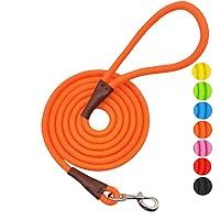 Algopix Similar Product 2 - MayPaw 4FT6FT8FT10FT Dog Leash