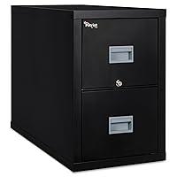 Algopix Similar Product 6 - Patriot Insulated 2Drawer Fire File