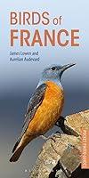 Algopix Similar Product 3 - Birds of France (Pocket Photo Guides)