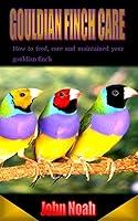 Algopix Similar Product 17 - GOULDIAN FINCH CARE How to feed care