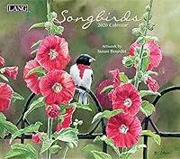 Algopix Similar Product 6 - Songbirds 2020 Calendar