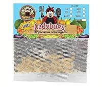 Algopix Similar Product 5 - 300 Live Ladybugs  Good Bugs 