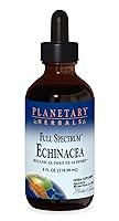 Algopix Similar Product 10 - Planetary Herbals Echinacea 1 ml For