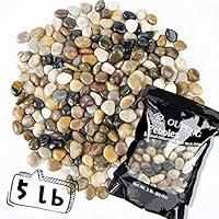 Algopix Similar Product 19 - OUPENG Pebbles Polished Gravel Natural