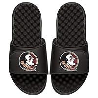 Algopix Similar Product 3 - ISlide FSU Florida State University