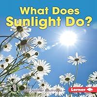 Algopix Similar Product 20 - What Does Sunlight Do?