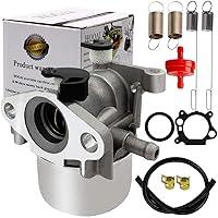 Algopix Similar Product 17 - HOOAI Carburetor For Briggs  Stratton