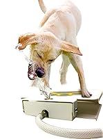 Algopix Similar Product 2 - Dog Water Dispenser Pet Fountain 