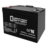 Algopix Similar Product 1 - Mighty Max Battery 12V 100AH Battery