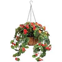 Algopix Similar Product 6 - OakRidge Miles Kimball Fully Assembled