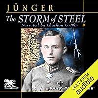 Algopix Similar Product 13 - The Storm of Steel