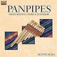 Algopix Similar Product 14 - Panpipes From Bolivia Peru and Ecuador