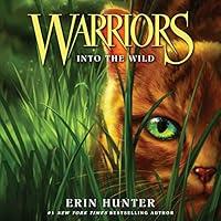 Algopix Similar Product 15 - Into the Wild: Warriors, Book 1