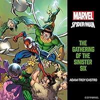 Algopix Similar Product 1 - SpiderMan The Gathering of the