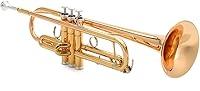 Algopix Similar Product 19 - Yamaha YTR4335GII Intermediate Bb
