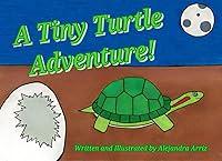 Algopix Similar Product 8 - A Tiny Turtle Adventure!