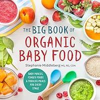 Algopix Similar Product 8 - The Big Book of Organic Baby Food Baby