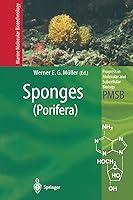 Algopix Similar Product 6 - Sponges Porifera Progress in