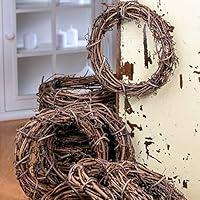 Algopix Similar Product 12 - Group of 12 Natural Dried Grapevine