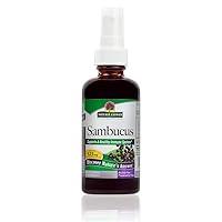 Algopix Similar Product 8 - Natures Answer Sambucus Syrup Extract