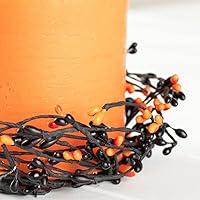 Algopix Similar Product 12 - Artificial Black and Orange Pip Berry