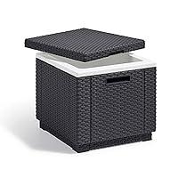 Algopix Similar Product 3 - Allibert California Ice Cube  Graphite