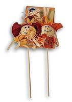 Algopix Similar Product 1 - Scarecrow Picks for Fall Floral Crafts