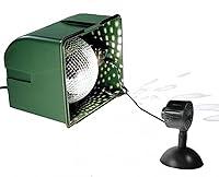 Algopix Similar Product 9 - Chelsea Home Imports Light Flurries 