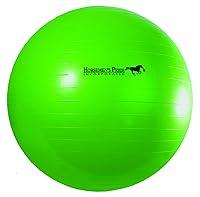Algopix Similar Product 18 - Horsemens Pride 40Inch Mega Ball for