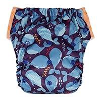 Algopix Similar Product 11 - Hybrid Cloth Diaper  Reusable Training