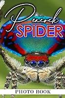 Algopix Similar Product 8 - Peacock Spider Photo Book Vibrant