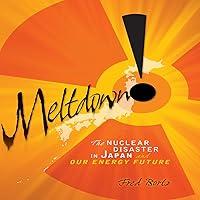 Algopix Similar Product 18 - Meltdown The Nuclear Disaster in