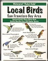 Algopix Similar Product 6 - Local Birds of the San Francisco Bay