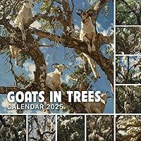 Algopix Similar Product 8 - Goats In Trees Calendar 2025 365 Days