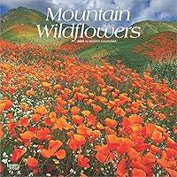 Algopix Similar Product 5 - Mountain Wildflowers  2025 12 x 24