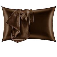 Algopix Similar Product 11 - CozyLux Satin Pillowcase for Hair and